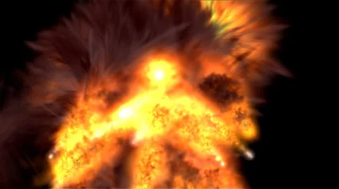 Big Fire Stock Footage 25027950