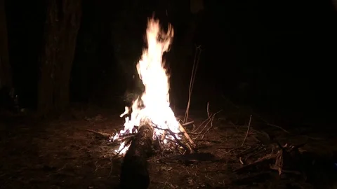 Big fire Vidéo 93049320