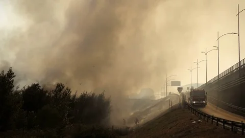 Big fire in the forest. firefighters' intervention- August 2017, Rome, Italy Stock Footage 80157098