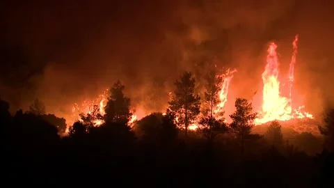 A big fire in a forest of Rhodes Stock Footage 149533434