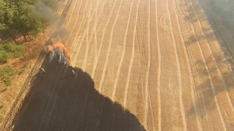 Big fire on the large wheat field Stock Footage 94953825
