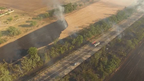 Big fire on the large wheat field Stock Footage 94954848