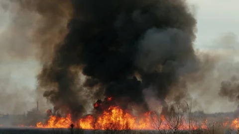 Big fire in the reed field. Thick black smoke overlaps the sky.Catastrophe in Stock Footage 105014557