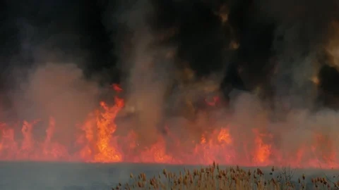 Big fire with thick black smoke in the reed field. Accident in Ukraine. 4k 動画素材 105014680
