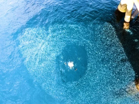 Big fish break into a shoal of fish Stock Footage 87499436