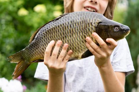 Big fish carp in the hands of a boy, fishing with a child, a young fisherman Stock Photos