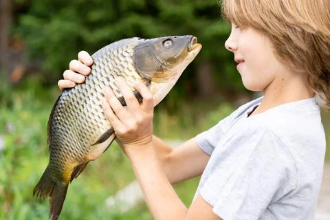 Big fish carp in the hands of a boy, fishing with a child, a young fisherman Stock Photos