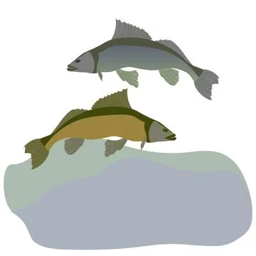 Big fish on copy space. Vector flat design. Stock Illustration