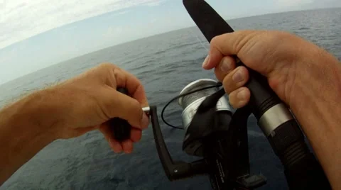 Big Fish On Stock Footage 7902988