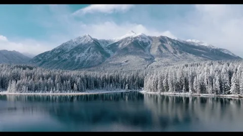 Big Fish Lake Video stock 327409643