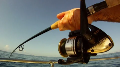 Big Fish Taking Line Stock-Footage 7903017