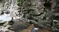 Big fishes swim in mountain river HD Footage