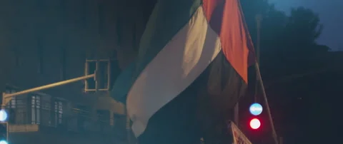 Big Flag waving during the protests Stock Footage 152840741