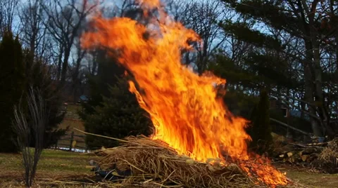 Big Flame as Brush is Being Burned Stock-Footage 36481710