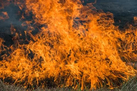 Big flames. Stock Photos