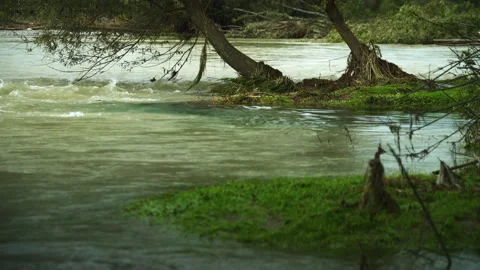 A big flood in a forest Stock Footage 145120543