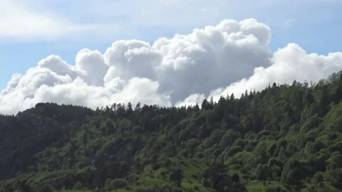 Big fluffy white clouds moving behind trees timelapse Stock Footage 159075472