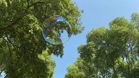 Big fly soap bubbles Stock Footage 160685446