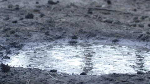 Big foot in the mud Stock Footage 113443686