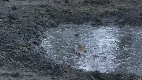 Big foot in the mud Stock Footage 113444285