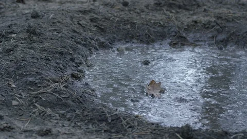 Big foot in the mud Vidéo 113444801