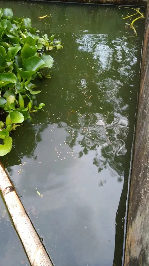 BIG Stock Footage 221655835