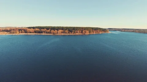 Big forest along the riverside Stock Footage 93141717