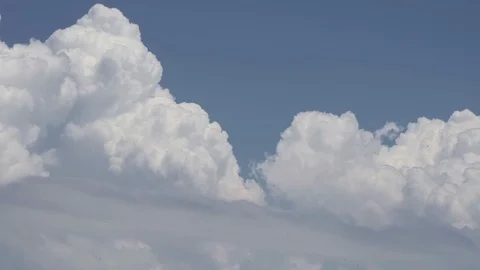 Big freedom clouds and swallows fly everywhere Stock Footage 110798584