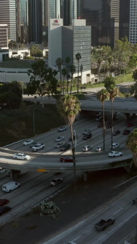 Big Freeway Highway intersection with car traffic and palm trees next to Los Ang 動画素材 337411759
