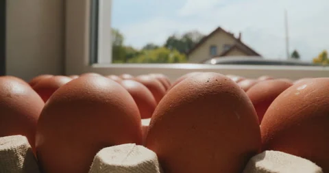 Big Fresh Chicken Eggs Closeup Stock Footage 276675658