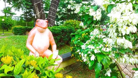 Big frog sitting on the bench Foto stock
