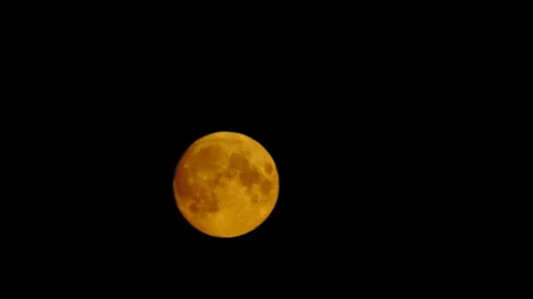 Big full moon rising Stock Footage 156579101