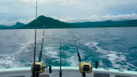 Big Game Fishing Stock Video Footage, Royalty Free Big Game Fishing Videos