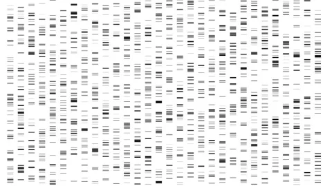 Big Genomic Data Visualization - DNA Test, Barcoding, Genome Map Architecture Stock Footage 125501186