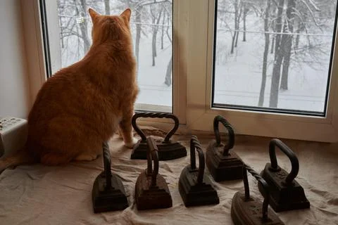 Big ginger cat sits on the windowsill and watches, outside the window winter Stock Photos