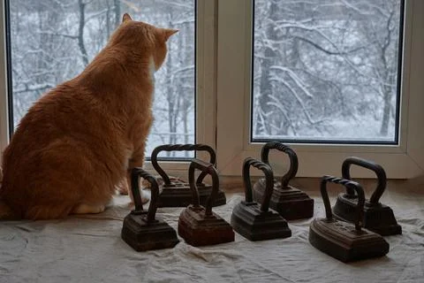 Big ginger cat sits on the windowsill and watches, outside the window winter Stock Photos