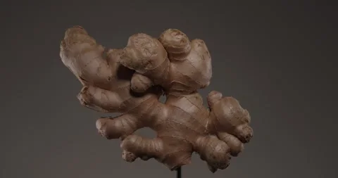 Big ginger root closeup rotating Stock Footage 336140800