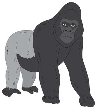 Big gorilla Stock Illustration