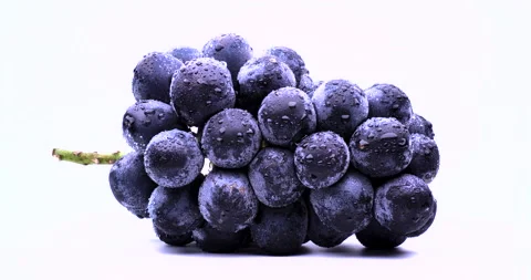 Big grape Video shot on white background. Stock Footage 135960726