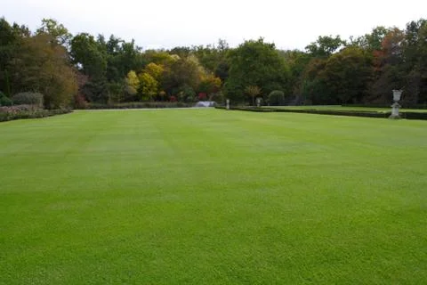 Big grass-plot Stock-Fotos