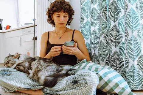 Big gray fluffy cat on lap of teenager girl Foto stock