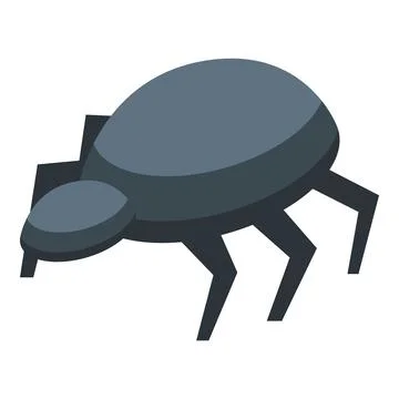 Big gray spider is crawling and searching for prey Stock Illustration