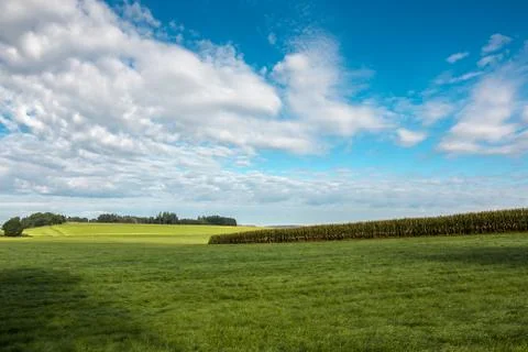 Big green fields of grass and grain and cloudy sky Stock Photos