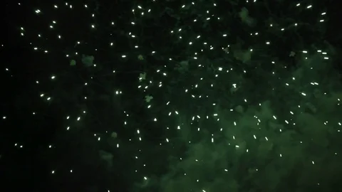 Big green fireworks Stock Footage 75391472