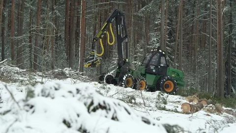 Big green forwarder destroying the live trees Stock Footage 70705493