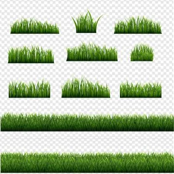 Big Green Grass Frame Set Isolated Transparent background Stock Illustration