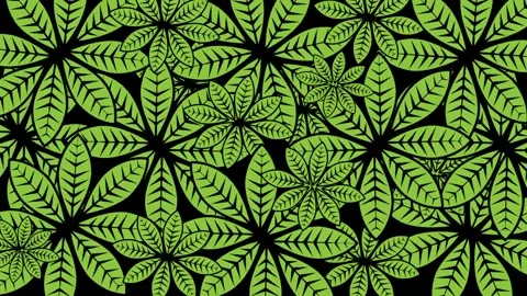 Big green leaf flower background animation Stock Footage 248945116
