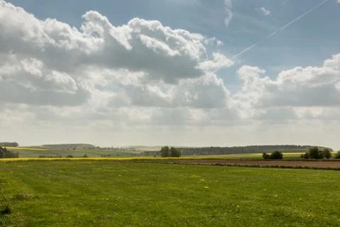 Big green meadows and fields of yellow rapeseed and the blue sky with clouds Stock-Fotos