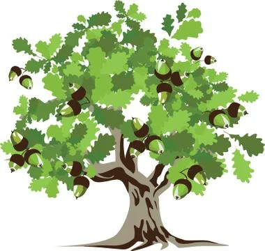 Big green oak tree vector illustration Stock Illustration