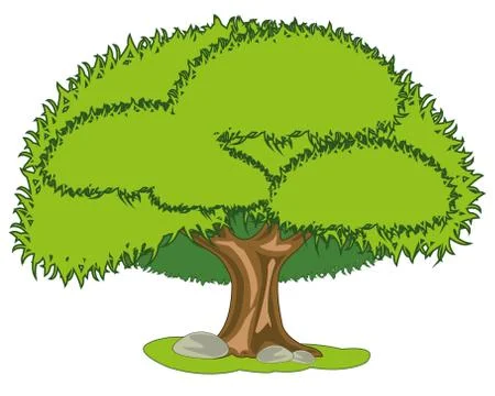Big green tree on white background is insulated Stock Illustration